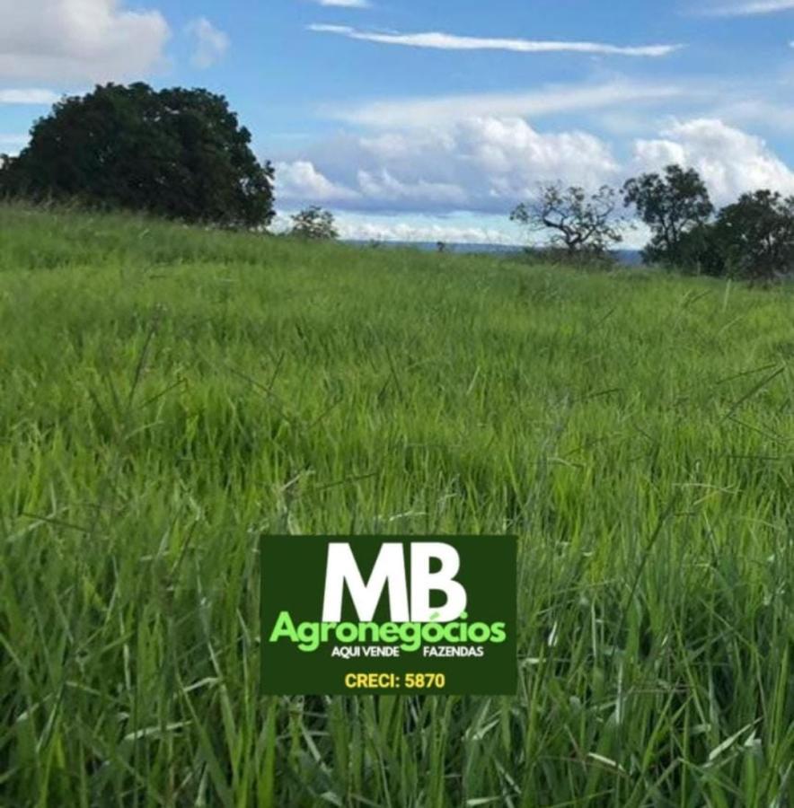Fazenda à venda, 400m² - Foto 4