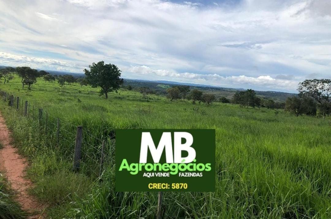 Fazenda à venda, 400m² - Foto 6