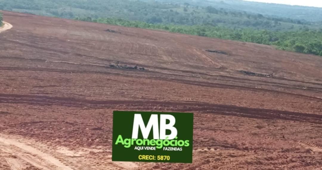 Fazenda à venda, 400m² - Foto 1