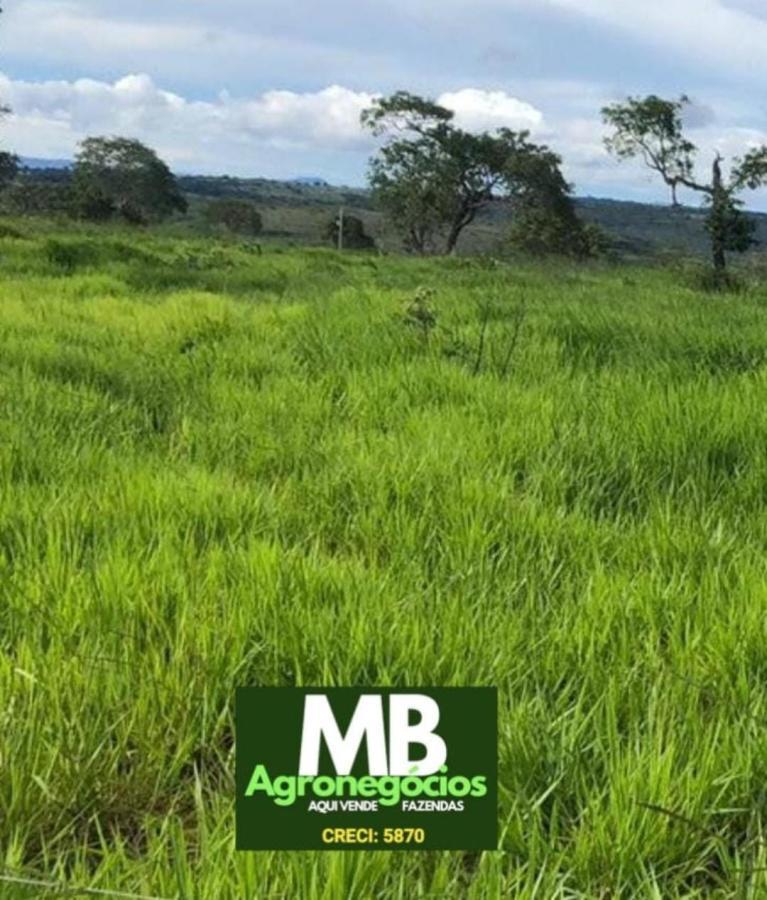Fazenda à venda, 400m² - Foto 7