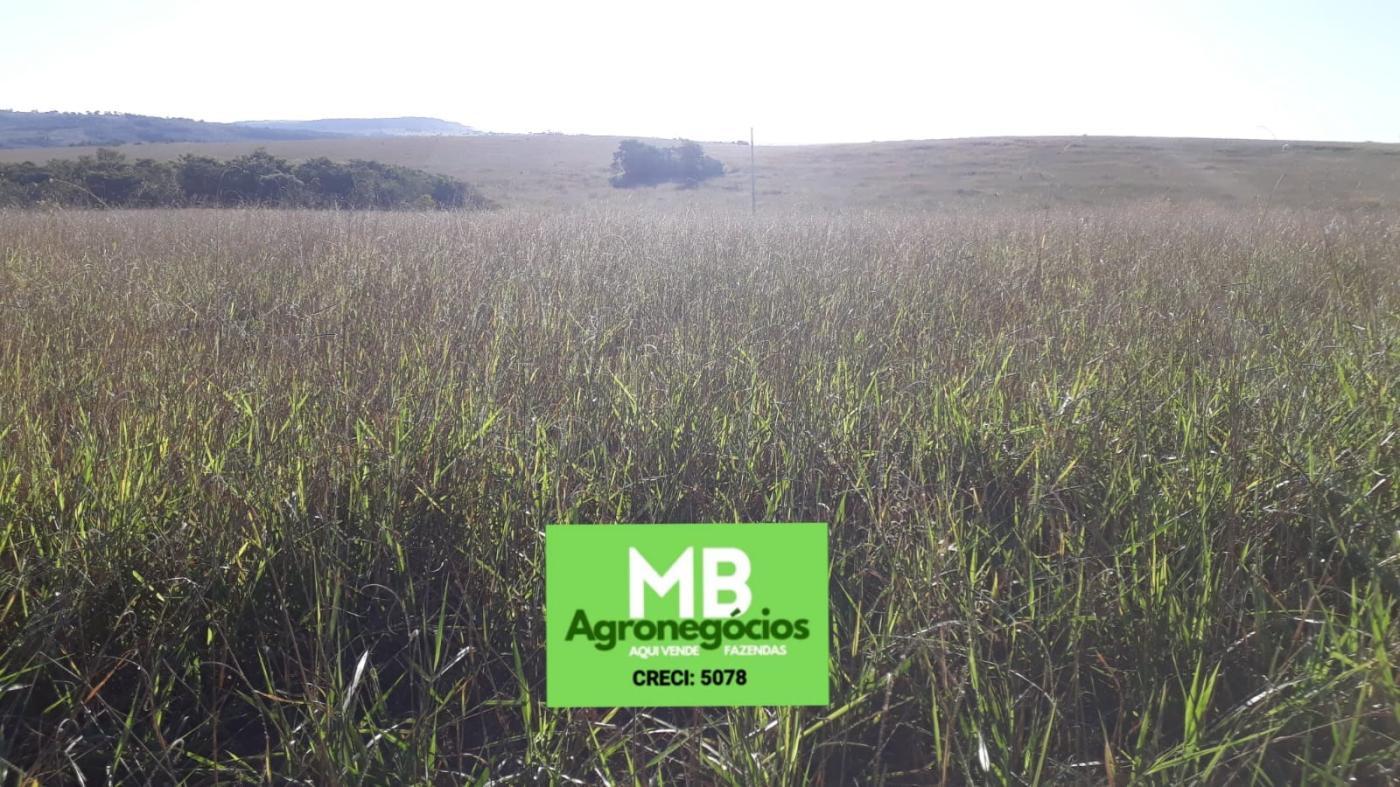Fazenda à venda, 417m² - Foto 2