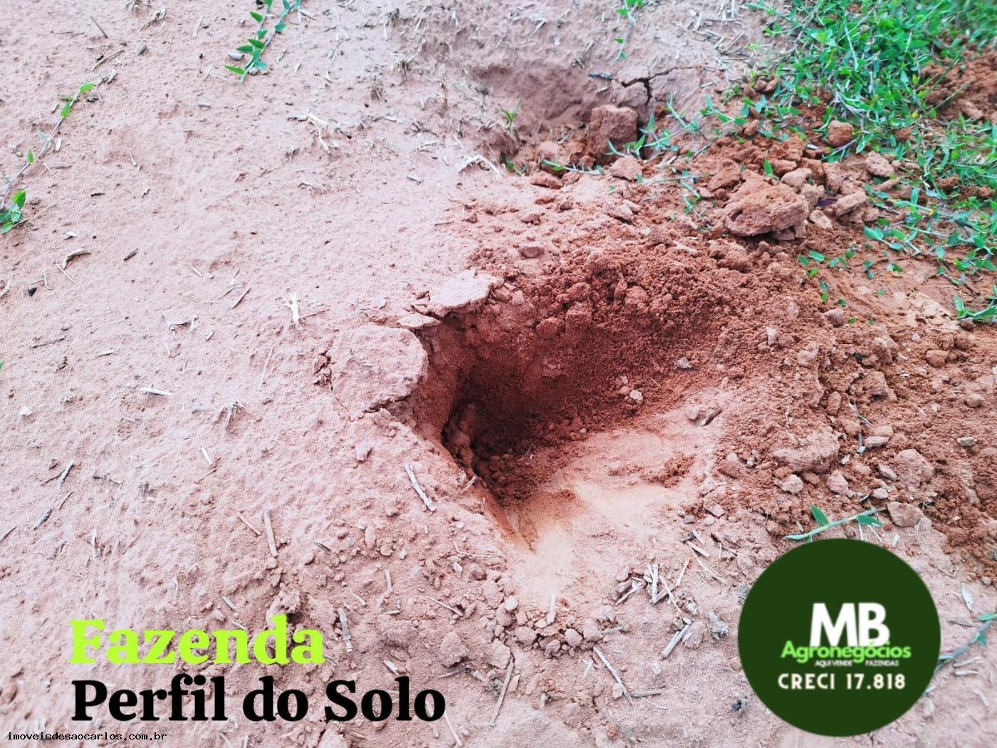 Fazenda à venda, 340m² - Foto 3