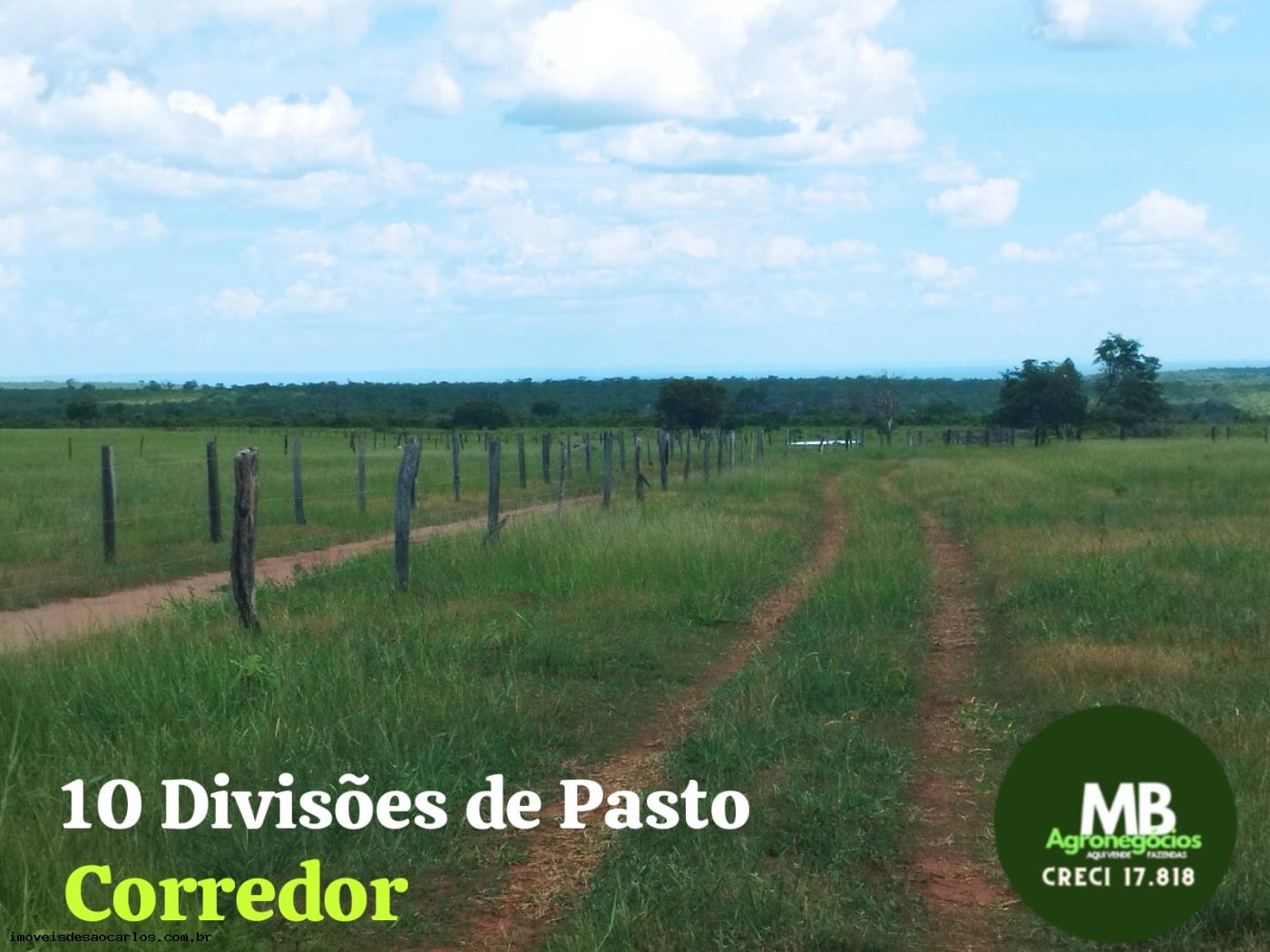 Fazenda à venda, 340m² - Foto 7