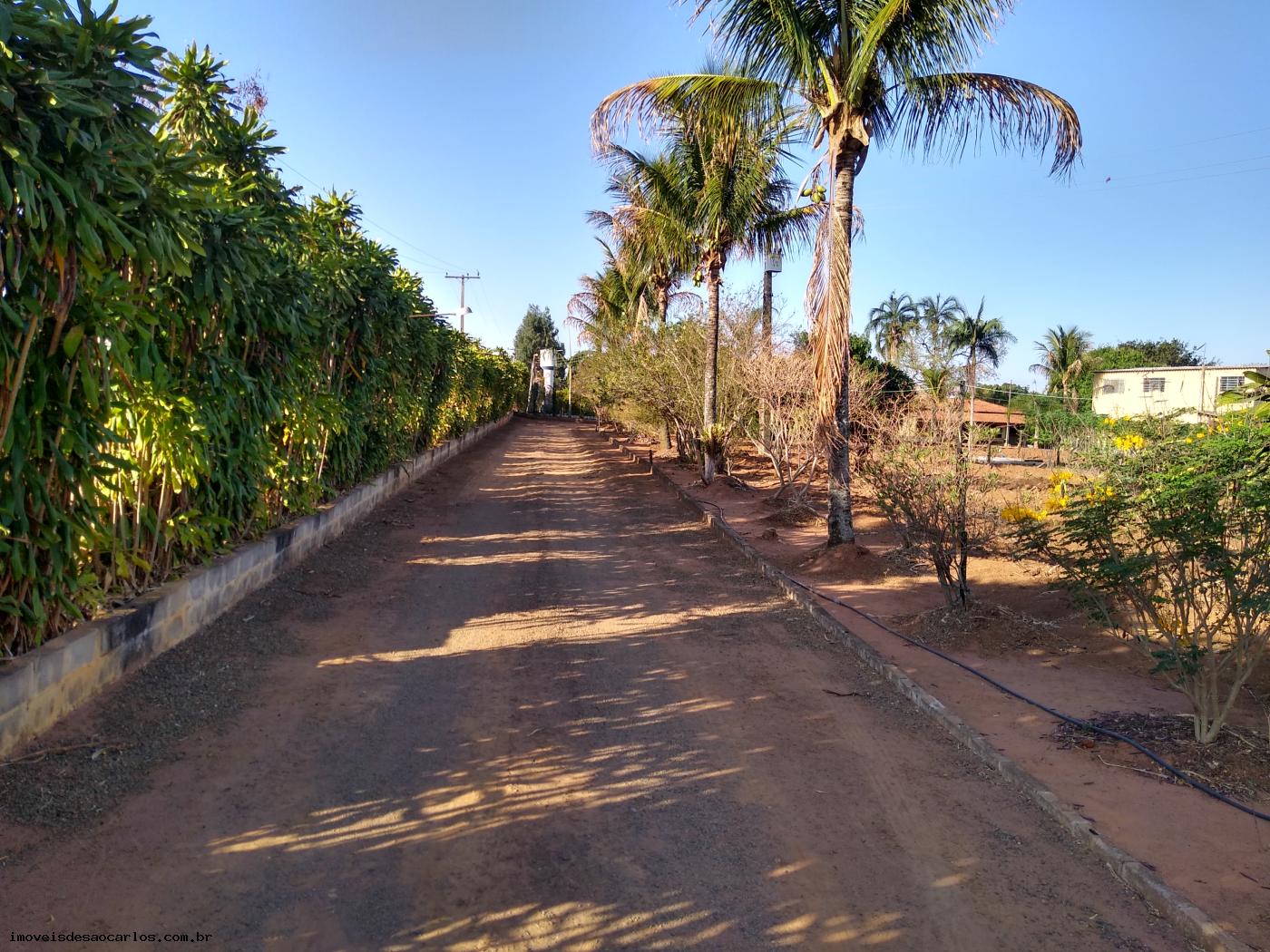 Sítio à venda com 3 quartos, 34250m² - Foto 4