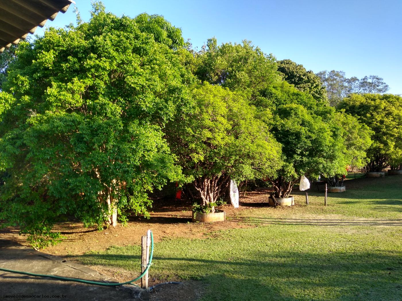 Sítio à venda com 3 quartos, 34250m² - Foto 22