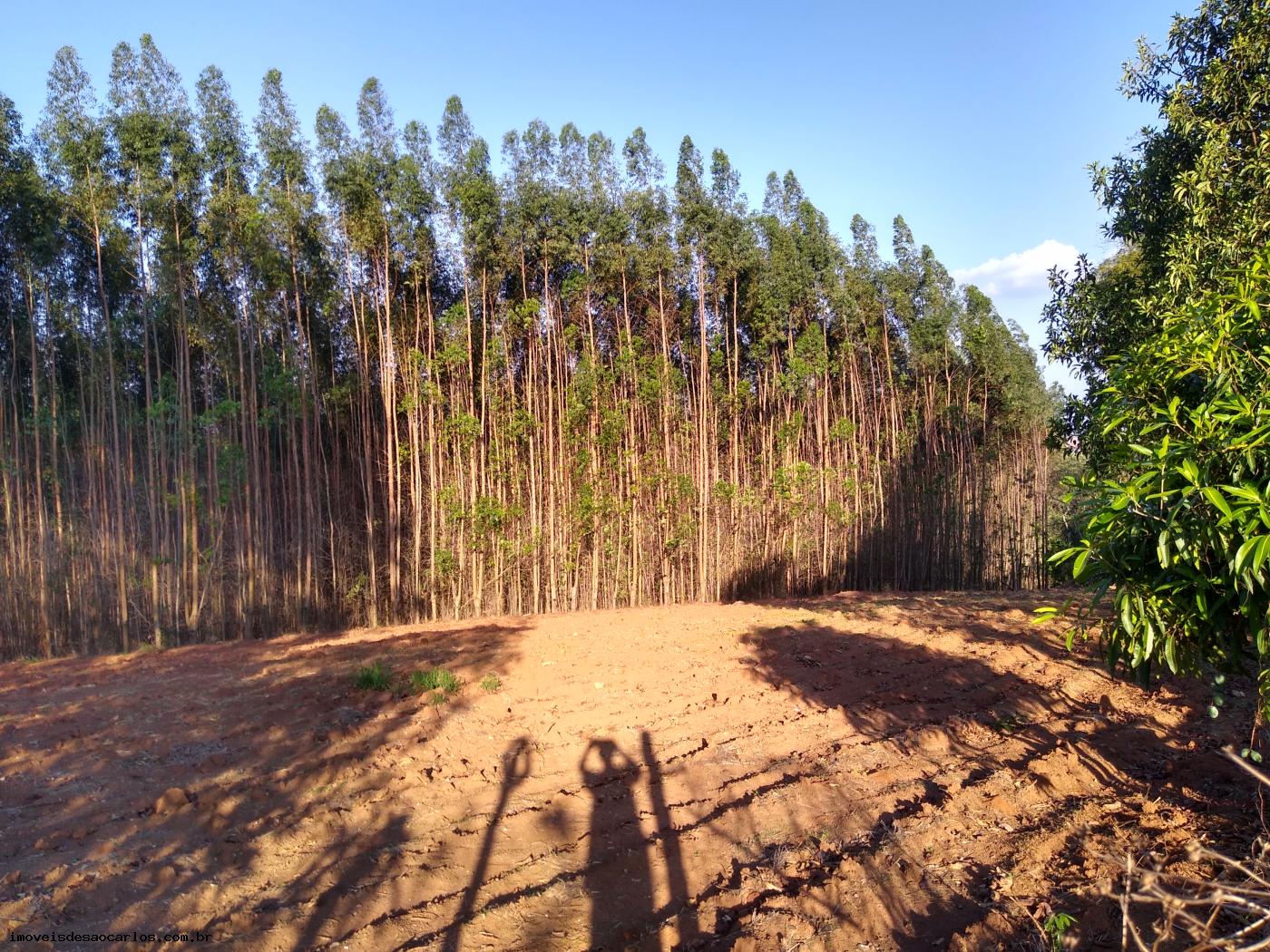 Sítio à venda com 3 quartos, 34250m² - Foto 48