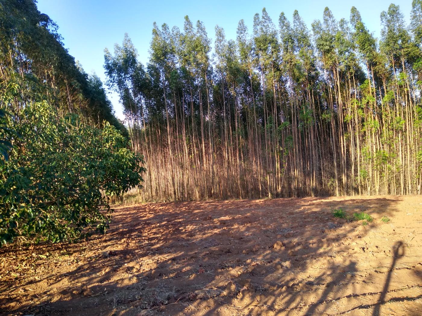 Sítio à venda com 3 quartos, 34250m² - Foto 49