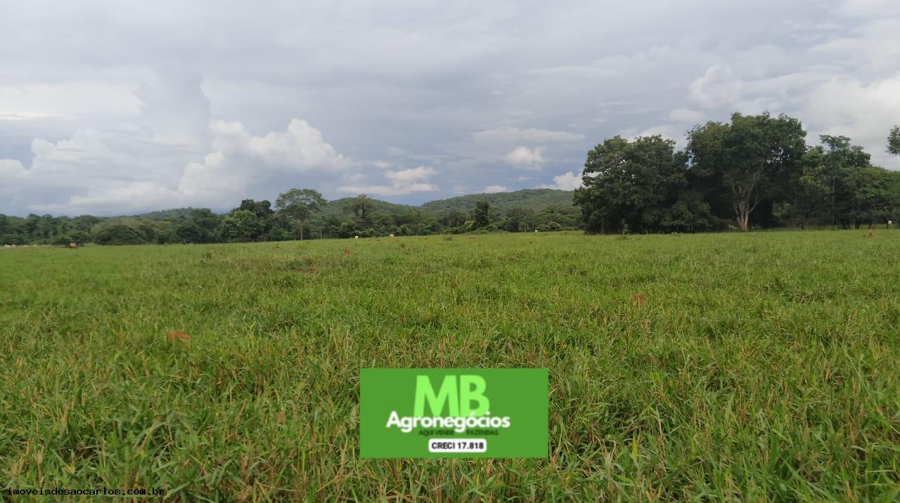 Fazenda à venda, 3430000m² - Foto 8