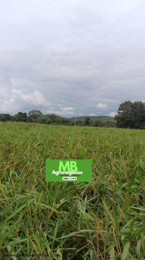 Fazenda à venda, 3430000m² - Foto 6