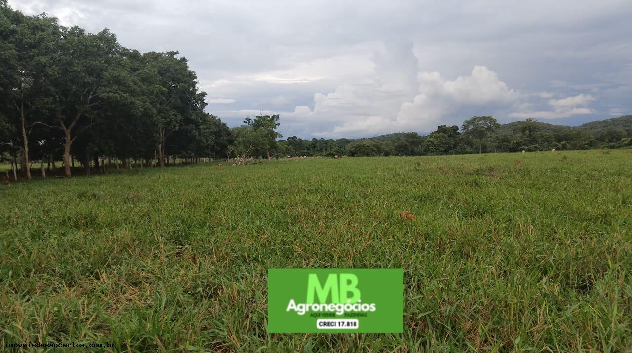 Fazenda à venda, 3430000m² - Foto 7