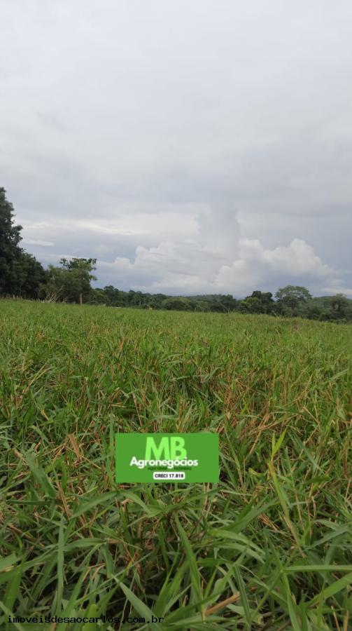 Fazenda à venda, 3430000m² - Foto 10