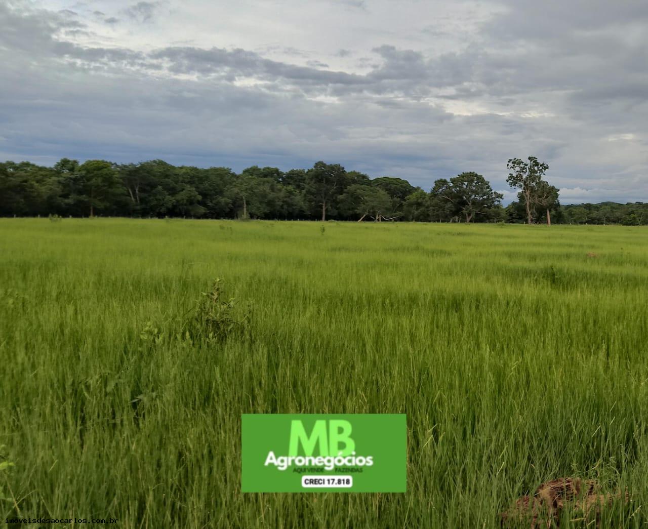 Fazenda à venda, 3430000m² - Foto 9